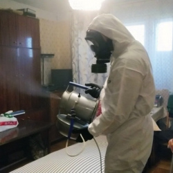 Дезинфекция от клопов в Ржавках