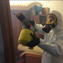 Уничтожение клопов в квартире. Ржавки